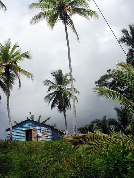 Near Cascada Limon, DOMINICAN REPUBLIC Dominican Republic Mountains, Dominican Republic Landscape, Dominican Photography, Honduran Culture, Trinidad Culture, Dominican Culture, Caribbean Aesthetic, Haiti And Dominican Republic, Haiti Missions