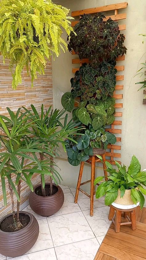 Table Rose Plant, Porch Plants, Vertical Garden Wall, Balcony Plants, Garden Decor Projects, Flower Pots Outdoor, Garden Crafts Diy, Eco Friendly Decor, Sun Plants