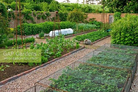 Walled kitchen garden with gravel paths, Victorian style 'rope' edging to the beds Garden With Gravel, Wall Garden Ideas, Victorian Greenhouses, Garden Layout Vegetable, Garden Obelisk, Potager Garden, Victorian Garden, Walled Garden, Farmhouse Garden