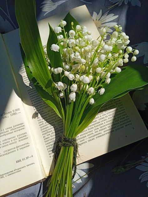 Lily Of The Valley Bouquet, Flowers For Algernon, Diy Bouquet Wrap, Bouquet Box, Lily Of The Valley Flowers, Valley Flowers, Boquette Flowers, Nothing But Flowers, Flower Therapy