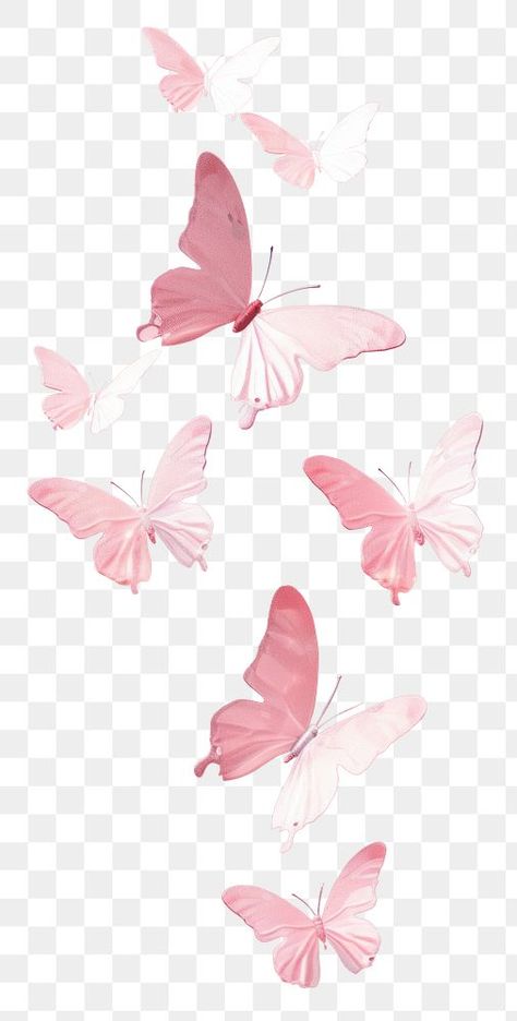 Butterfly Pink Background, Lighting Butterfly Png, Real Pink Butterfly, Pink Butterfly Sticker, Pink Butterfly Transparent Background, Butterflies Pink, Flower 3d, 3d Png, 3d Butterfly