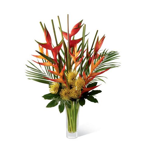 Pincushion protea, psitticorum heliconia, upright heliconia, aralia leaves, and areca palm in a superior flared clear glass vase Tropical Flowers Bouquet, Luxury Bouquet, Tropical Flower Arrangements, Birthday Flowers Bouquet, Spring Flower Arrangements, Birds Of Paradise Flower, Ikebana Flower Arrangement, Modern Flower Arrangements, Special Flowers