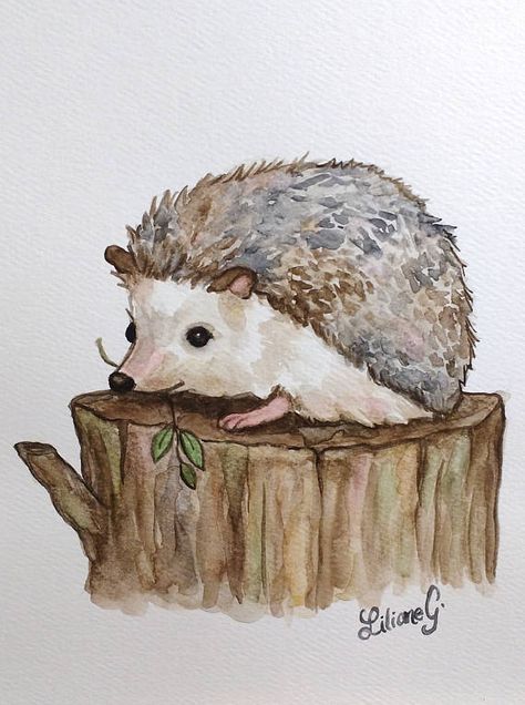 Hedgehog Watercolor Painting, Hedgehog Painting, Hedgehog Watercolor, Watercolor Hedgehog, Hedgehog Drawing, Hedgehog Illustration, Diversity Inclusion, Hedgehog Art, Cute Hedgehog