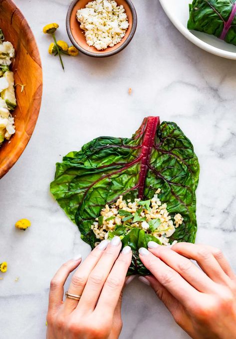 Swiss chard salad and red cabbage apple slaw make delicious, nourishing lunch wraps. Make this recipe for Labor Day with seasonal produce! Cabbage Apple Slaw, Chard Wraps, Red Cabbage Apple, Swiss Chard Salad, Chard Salad, Red Chard, Aip Paleo Recipes, Apple Slaw, Lunch Wraps