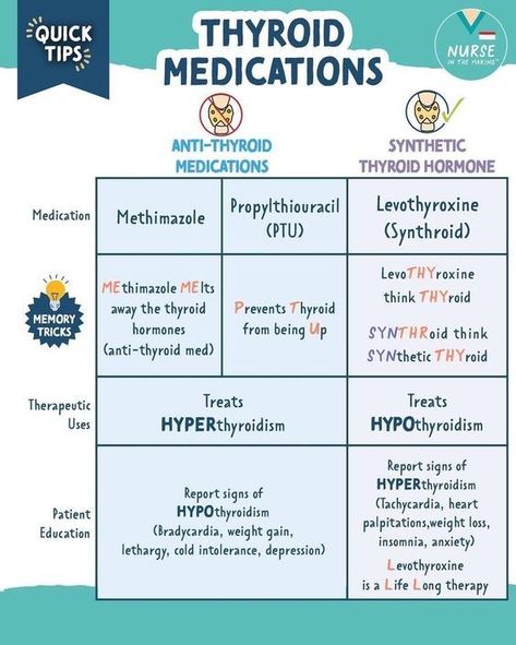 Thyroid Medications #nursingschool #nursingstudent #study  - Image Credits: Nurse in the Making Endocrine Pharmacology Nursing, Nursing Endocrine Cheat Sheet, Levothyroxine Nursing, Endocrine Pharmacology, Nursing School Inspiration, Medical Mnemonics, Nursing School Essential, Nursing Study Guide, Nursing School Motivation