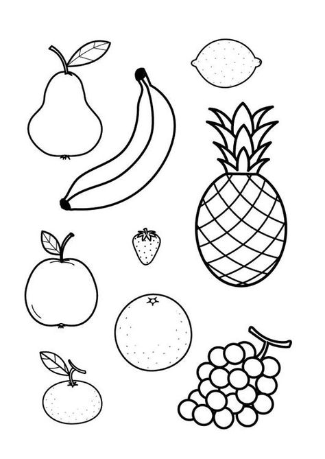 Coloring page all fruit together - coloring picture all fruit together. Free coloring sheets to print and download. Images for schools and education - teaching materials. Img 25437. Fruit Coloring, Fruit Coloring Pages, Drawing Lessons For Kids, Fruits Drawing, Fruit Picture, Free Fruit, Free Coloring Sheets, Fall Fruits, All Fruits