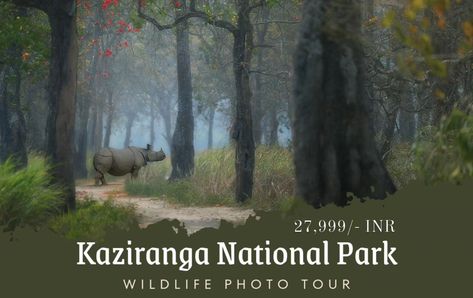 Kaziranga in different mode, with different angles & different compositions. People who are trying to learn nature photography, kaziranga is one of the best places in India with various landscapes, density of animals. Kaziranga helps me to achieve many awards and featured on well known platforms. Most of you know me because of art in nature and I experimented this mostly from Kaziranga National Park ❤️ #kaziranga #kaziranganationalpark #kazirangasafari #awesomeassam #jayantaguhaphotography ... Kaziranga National Park, Art In Nature, Wildlife Photos, Different Angles, In Nature, Nature Art, Density, The Good Place, National Park