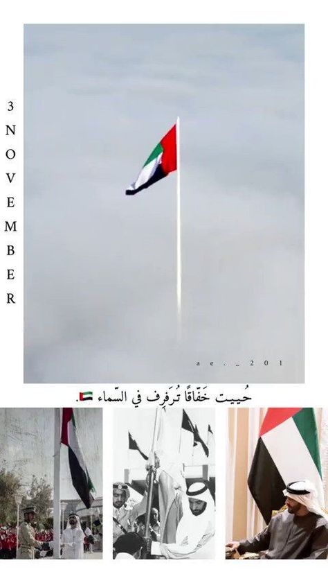 Uae National Day Ideas Activities, Phone Wallpapers Tumblr, Dubai Video, Uae National Day, Day Video, Study Skills, National Day, Preschool Activities, Wind Sock