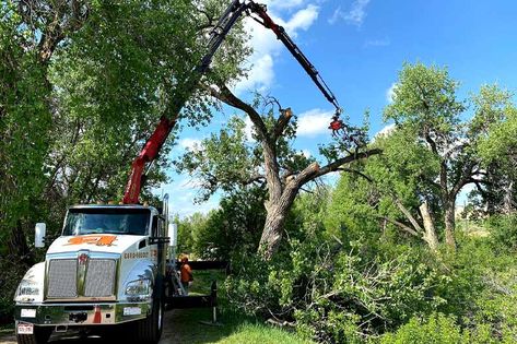 Cheapest Way To Clear Land Clearing Trees From Land, Clearing Land To Build House, Land Clearing Ideas, Clearing Land Diy, Fairy Backyard, Land Ideas, Free Land, Dream Fairy, Farm Pond