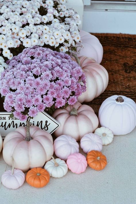 Pink Fall Porch Decor, Pink Fall Decor, Halloween Home Decor Ideas, Pink Mums, Fall Front Door Decor, Fall Fruit, Diy Porch Decor, Outside Fall Decor, Porch Pumpkins