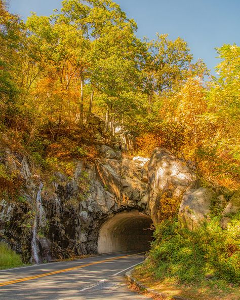 Things to do around Shenandoah National Park - Forever A Nomad North Garden, Skyline Drive, Harpers Ferry, Hiking National Parks, Shenandoah Valley, Shenandoah National Park, National Park Wedding, Camping Spots, Summer Road Trip