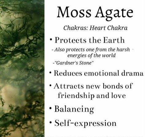 Moss Agate Crystal Meaning, Moss Agate Meaning, Agate Crystal Meaning, Moss Agate Bracelet, Moss Agate Jewelry, Moss Agate Crystal, Green Moss Agate, Crystals Healing Properties, Gemstone Meanings