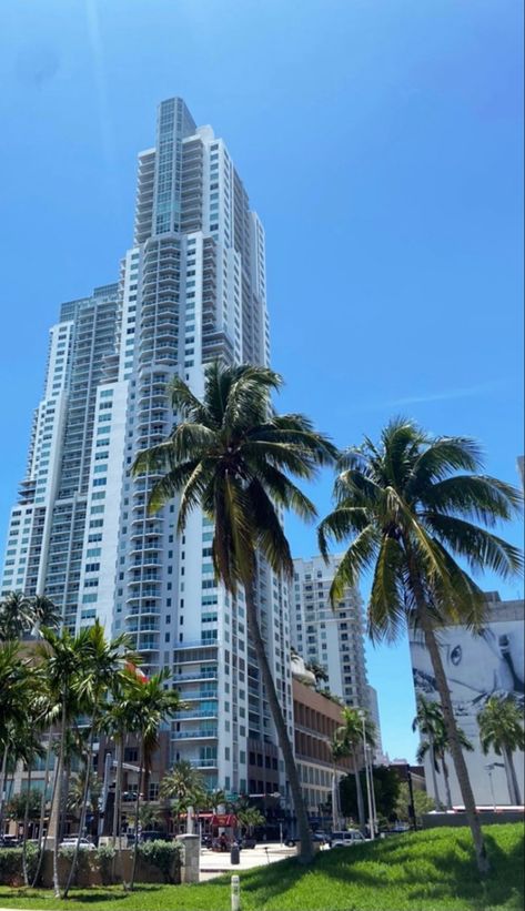 Miami Florida Aesthetic, Miami Palm Trees, Miami Wallpaper, Miami Aesthetic, Rich Rich, Miami City, Miami Life, Gran Hotel, Dream City