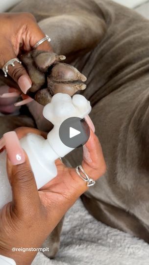 Dog Rash, Grass Allergy, Rashes Remedies, Dogs Paws, Itchy Dog, Dog Spa, Cleaning Videos, Playing Outside, Dog Bath