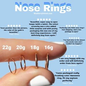 Sweet Compliments, Rose Gold Nose Ring, Double Nose Ring, Tragus Helix Piercing, Piercing Chart, Gold Nose Hoop, Septum Hoop, Gold Nose Ring, Nose Piercing Hoop