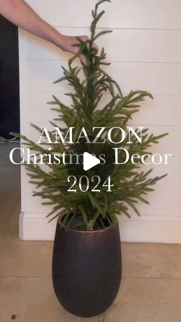 Jodie Kammerer • AMAZON HOME FINDS on Instagram: "Amazon Christmas Decor I’m loving for 2024!!

COMMENT FOR LINKS or shop my link in bio! 
Please note: you must be following me @jodie.thedesigntwins for links to appear 🫶 

This set of 3 black ceramic planters & mini real touch pine trees!

These gorgeous light branches with twinkle setting & timer! They look amazing in the black vases too!

These beautiful acrylic nutcrackers! And 96” lush real touch garland!

HUGE sellout risk to all of these—so don’t wait! 

Love you all! Happy shopping 🫶🏻

#amazonhome #amazonfinds #christmasdecor #christmastree #christmaslights" Real Pine Tree Christmas Decor, Pine Tree Christmas Decor, Christmas Tree In Planter, Amazon Christmas Decor, Amazon Christmas Decorations, Black Vases, Amazon Home Finds, Amazon Christmas, Lighted Branches