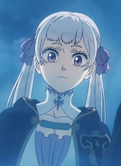 Noelle Silva Icon, Silva Black Clover, Hairstyle Reference, Noelle Silva, Naruto Uzumaki Hokage, Blue Lovk, Black Clover Manga, Black Clover Anime, Haikyuu Manga