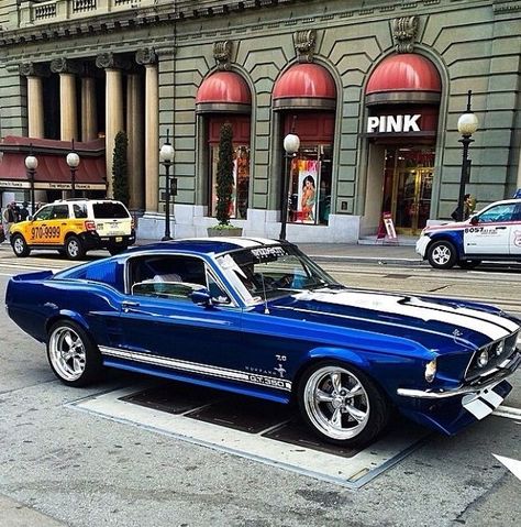 1967 Ford Mustang Royal Blue & White G.T. 350 Fastback. Siyah Mustang, Cool Muscle Cars, 1967 Ford Mustang Fastback, Mustang Gt 350, Shelby Mustang Gt500, Mobil Mustang, Vintage Auto's, 1967 Ford Mustang, Mustang Gt500