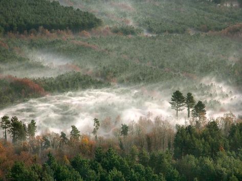 Thetford Forest, House In The Clouds, Norfolk Coast, Great Yarmouth, Bucket List Destinations, Nature Reserve, Sandy Beaches, City Art, Outdoor Fun