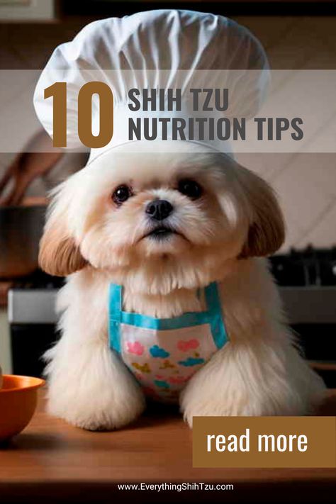 Shih Tzu dog in a chef hat Shih Tzu Homemade Dog Food, Shih Tzu Food Recipes, Homemade Dog Treats For Shih Tzu, Picky Dog Eater, Dice Ideas, Pets Stuff, Dog Food Allergies, Pet Treats Recipes, Perro Shih Tzu