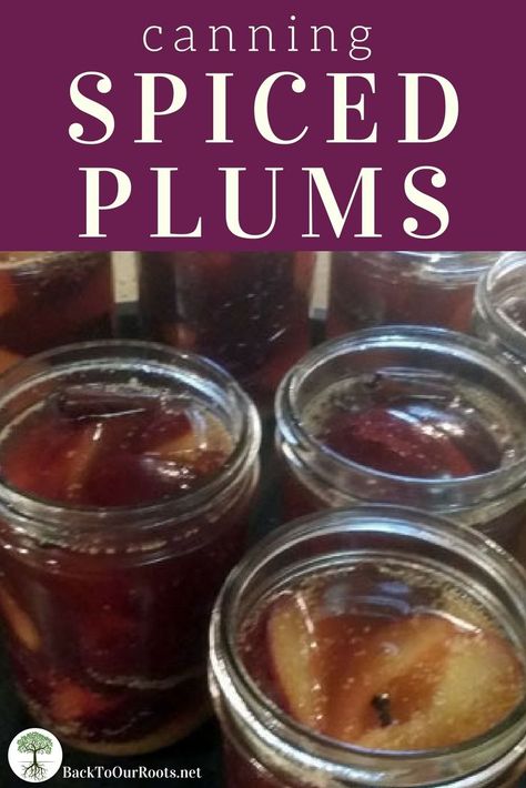 CANNING SPICED PLUMS: Cinnamon and cloves take these plums over the top! Eat them cold, warm, or baked into a cobbler. Come wintertime, you'll be glad you made some today! Spiced Plums, Canning Plums, Canned Plums, Food Preserving, Canning Fruit, Plum Recipes, Canning Recipe, Canning Tips, Water Bath Canning