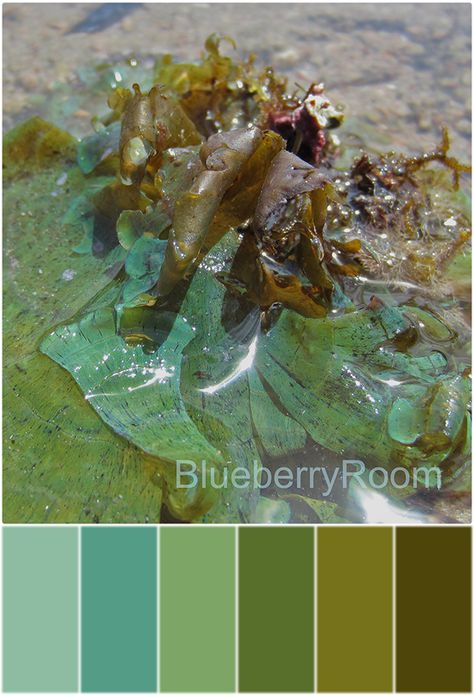 Sea Green Color Combinations, Sea Green Color Palette, Seaweed Color Palette, Kelp Color Palette, Sea Life Color Palette, Deep Sea Palette, Sea And Forest Color Palette, Underwater Color Palette, Green Color Combinations