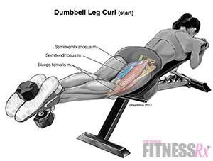 Hamstring curls Hamstring Curl, Lying Leg Curls, Hamstring Workout, Leg Curl, 30 Minute Workout, Gym Inspiration, Workout Guide, Lower Body Workout, Glutes Workout