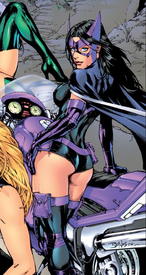 Dc Huntress Art, Helena Bertinelli Comics, Dc Women Characters, Dc Huntress, Bruce Timm Art, Stargirl Dc, Huntress Dc, Batgirl Pictures, Gotham Nights