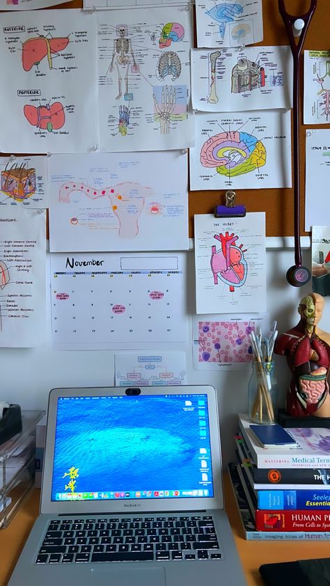 Medical Student Dorm Room, Medschool Motivation, Science Anatomy, Anatomy Aesthetic, University Inspiration, Doctor Aesthetic, Nursing Motivation, Study Wall, Medical School Life