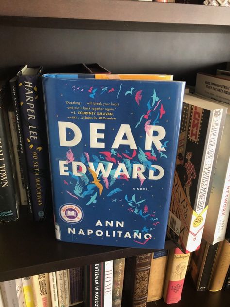 'DEAR EDWARD' Dear Edward Book, Dear Edward, Page Turner Books, Go Set A Watchman, Marilynne Robinson, Book Wishlist, Read List, Say A Prayer, Life Affirming