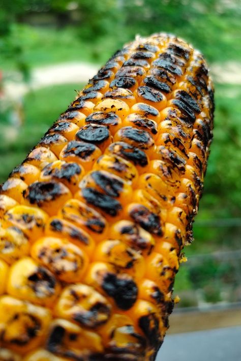 This tasty roasted corn, we can enjoy only on Indian Streets. Roast Corn, Roasted Corn, Corn On The Cob, Indian Snacks, Corn, Snacks, India, Canning, Photography