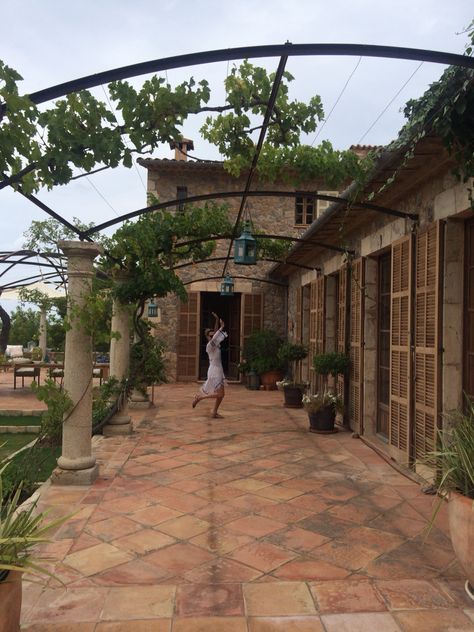 Outdoor grapevine canopy walkway in progress Canopy Walkway, Covered Outdoor Kitchens, Brick Garden, Backyard Porch, Covered Pergola, Door Cover, Pergola Patio, Side Yard, Roof Garden