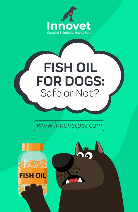 #Fish_oil_for_dogs_safe_or_not. Fish Oil for Dogs Fish oil offers a number of health benefits for humans. But, can you give your dog fish oil too? As a pet owner, your focus is on ensuring your dog’s optimal health. Providing adequate nutrition and supplementing your dog’s diet with certain substances can help you achieve the right balance. Well, as it turns out, fish oil isn’t as beneficial for your dog as you might assume. In fact, giving your dog the oil can lead to a number of side effects. Fish Oil For Dogs, Fish Oil Vitamins, Krill Oil, Oils For Dogs, Pet Fish, Animal Nutrition, Optimal Health, Pet Owner, Fish Oil