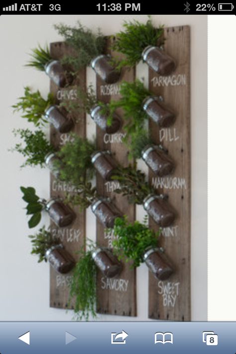 Love this Herb Garden Wall, Hanging Herb Garden, Herb Wall, Vertical Garden Design, Hanging Herbs, Vertical Herb Garden, Vertical Gardens, Walled Garden, Indoor Herb Garden