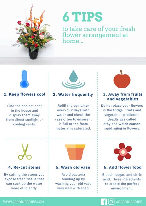 How To Take Care Of Flowers, Fresh Flower Arrangement, Flower Tips, Bold Flowers, Old Vases, Flower Care, Fresh Flowers Arrangements, Flower Food, Fresh Flower