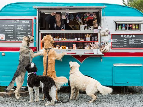 Indoor Dog Park, Things To Do In Colorado, Shop Cart, Dog Cart, Dog Ice Cream, Hot Dog Cart, Dog Cafe, Pet Spaces, Dog Birthday Cake