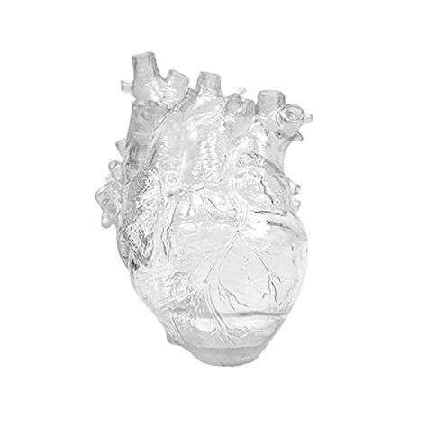 Anatomical Heart Vase, Cute Vases, Heart Shaped Vase, Austin Apartment, Sculpture Vase, Modern Flower Vase, Heart Sculpture, Pretty Vase, Resin Vase