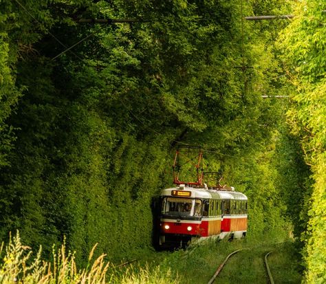 Nizhny Novgorod, 2160x3840 Wallpaper, Arte Inspo, Cinematic Photography, Alam Yang Indah, Nature Aesthetic, Pretty Places, Green Aesthetic, Aesthetic Photo