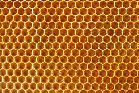 Background Of Honeycombs Structure | Stocksy United Honey Texture, Bee Photos, Diy Bee, Honey Art, Honeycomb Structure, Geometry In Nature, Bee Hives, Mural Ideas, Bee Pollen