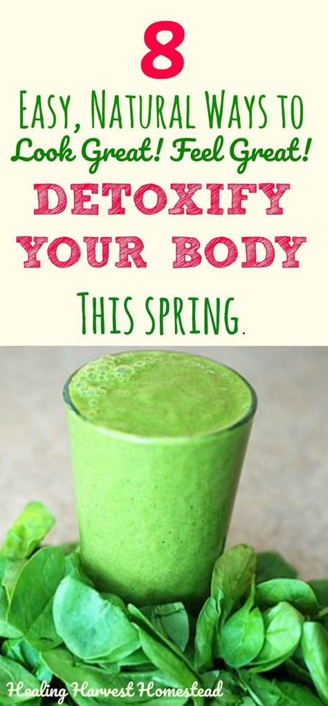 Natural, Easy Ways to Detoxify Your Body This Spring: Clean Out, Clear Out, and Feel Great! Natural Cleanse, Full Body Detox, Detox Tips, Start Cleaning, Detoxify Your Body, Healthy Detox, Natural Detox, Sugar Detox, Body Detox