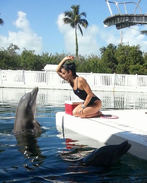 Animal Trainer Aesthetic, Dolphin Trainer Aesthetic, Marine Mammal Trainer, Aquatic Veterinarian Aesthetic, Winter Dolphin, Move To Florida, Dolphin Trainer, My Dream Job, Dream Jobs