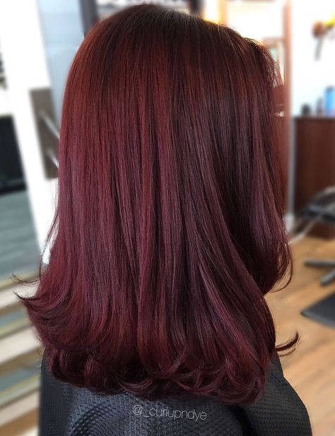 Red Violet Hair, Brown Hair Shades, Wine Red Hair, Wine Hair, Red Hair Inspo, Cherry Hair, Violet Hair, Dark Red Hair, Red Violet