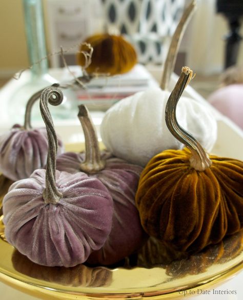 DIY VELVET PUMPKINS- I have made sweeter pumpkins, but I need to try the velvet ones! Diy Velvet Pumpkins, Witches Tea Party, Witches Tea, Pumpkins Diy, Velvet Acorn, Party On A Budget, Blue Harvest, Thanksgiving Favors, Sweater Pumpkins