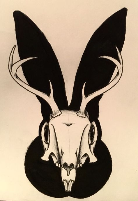 Bunny Skull Tattoo, Jackalope Skull, Jackalope Skull Tattoo, Jackalope Tattoo Design, Rabbit Skull Drawing, Rabbit Skull Tattoo, Rabbit Skull, Jackalope Drawing, Jackalope Art