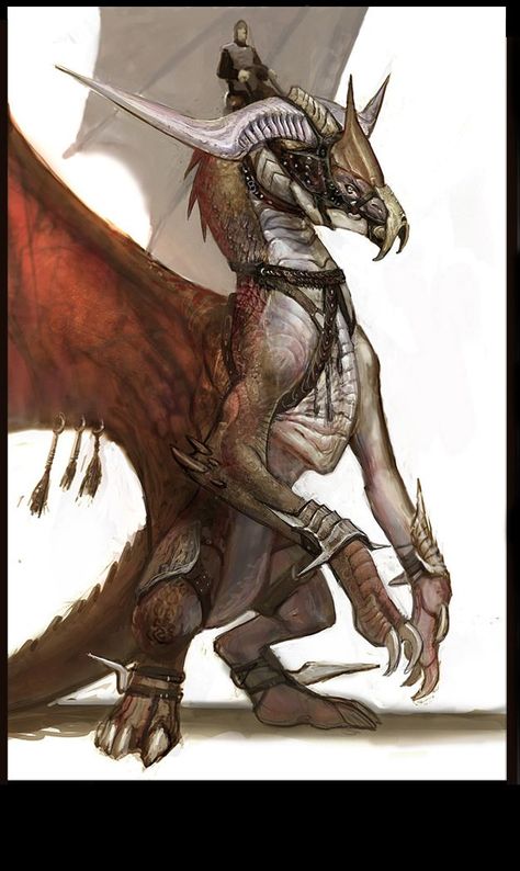 HUMAN RIDER ON FANTASY CREATURE - Google Search Dragon Medieval, Heroic Fantasy, Cool Dragons, Dragon Rider, Creature Drawings, Dragon Pictures, Dragon Artwork, Mythological Creatures, Monster Design