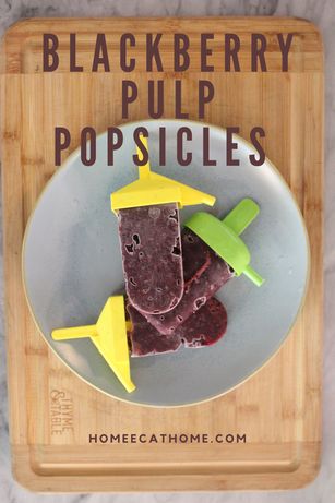 Blackberry Pulp Popsicles Pulp Recipes, Pulp Recipe, Two Ingredient, Family And Consumer Science, Doodle Puppy, Sprouts With Bacon, Easy Slow Cooker Recipes, Ice Cream Popsicles, Dessert Bread