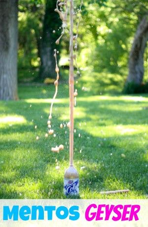 a package of Mentos, a 2-liter of diet soda (dark-colored works best), tape, and a piece of construction paper (or this Steve Spangler Geyser Tube).  *Tip:  Get the cheapest Diet Soda you can find!* Summer Science Experiments, Science Camp, Science Experiments For Kids, Summer Science, At Home Science Experiments, Experiments For Kids, Science Club, Science Party, Kid Experiments