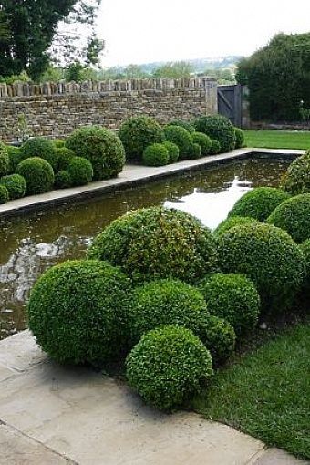 Globe Boxwoods perfect flanking the front door at 1010 GBR Cloud Pruning, Boxwood Garden, Topiary Garden, Garden Shrubs, Have Inspiration, Gorgeous Gardens, Garden Spaces, English Garden, Front Garden