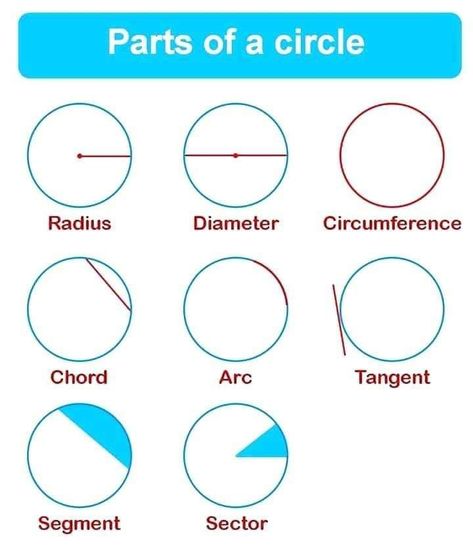 Maths Geometry, Parts Of A Circle, Math Formula Chart, Teaching Math Strategies, Math Quotes, Math Charts, Learning Mathematics, Iit Jee, Math Tutorials