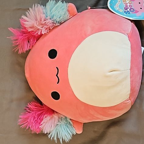 Florent The Axolotl, Squishdoo 10 Inch Nwt Smoke Free Pet Free Stored Dust Free Rare Squishmallows Axolotl, Plushies Axolotl, Blobfish Squishmallow, Squishmallows Flamingo, Pink Axolotl Squishmallow, Dust Free, 10 Inch, Cute Stuffed Animals, Creative Home